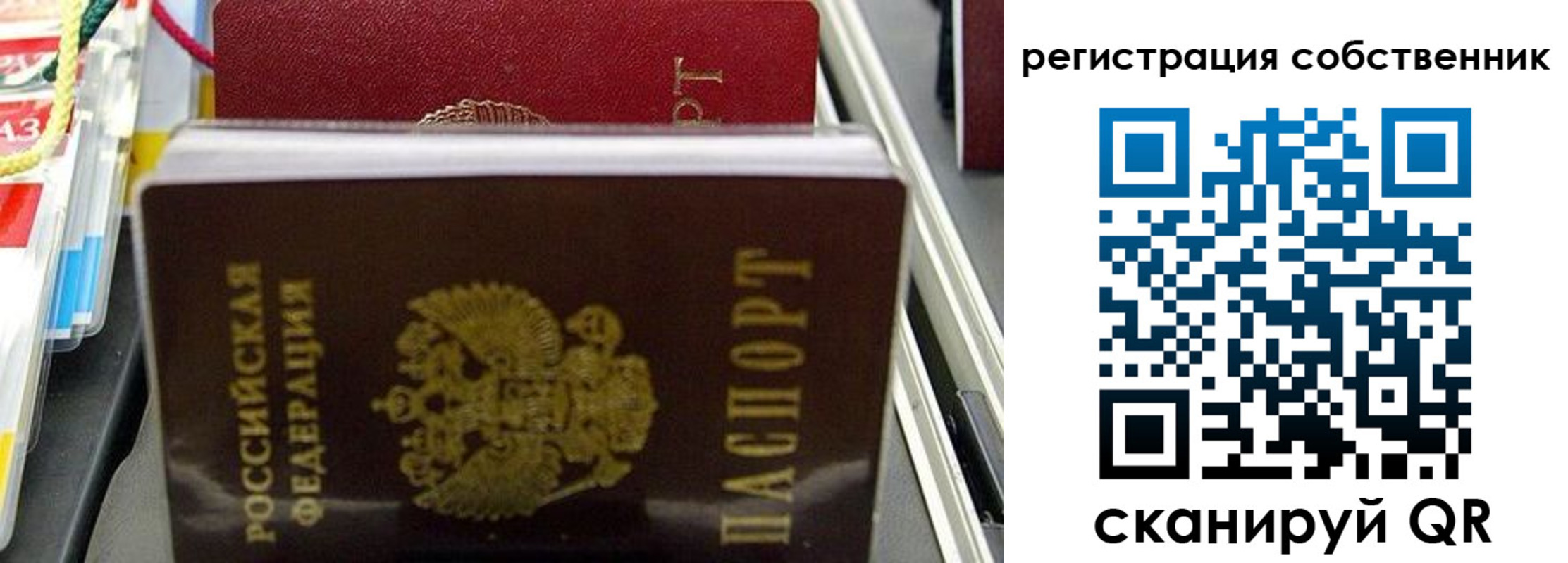 временная регистрация поиск в Могочи